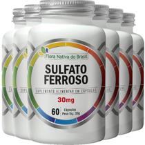 Sulfato Ferroso 500mg 6 X 60 Cápsulas - Flora Nativa