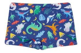 Sunga Boxer Sunga Infantil Dedeka Passos Bebê Dinossauro