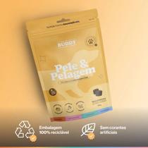 Sup Alimentar P/ Cães Pele & Pelagem Buddy Nutrition 84gr Sup Alimentar P/ Cães Pele & Pelagem Buddy Nutrition 84gr