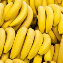 Super Banana Nanica Igual Do Mercado 1 Muda P Jardins Vasos Envio Imediato Pronta entrega