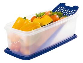 Super Caixa Tupperware 4,3 Litros Com Grade Interna