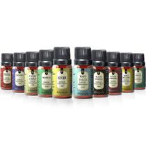 Super Kit 10 Essências Aromatizantes P/ Difusor Aroma Ar