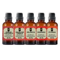 Super Kit 5 Essências A Base Água Hidrossolúvel 30ml Difusor Super Kit 5 Essências A Base Água Hidrossolúvel 30ml Difusor