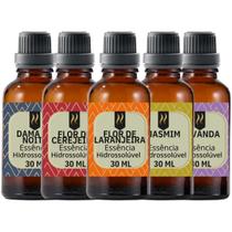 Super Kit 5 Essências A Base Água Hidrossolúvel 30ml Difusor Super Kit 5 Essências A Base Água Hidrossolúvel 30ml Difusor
