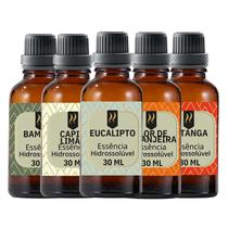 Super Kit 5 Essências A Base Água Hidrossolúvel 30ml Difusor Super Kit 5 Essências A Base Água Hidrossolúvel 30ml Difusor