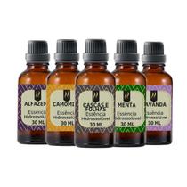Super Kit 5 Essências A Base Água Hidrossolúvel 30ml Difusor