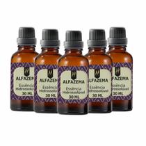 Super Kit 5 Essências A Base Água Hidrossolúvel 30ml Difusor Super Kit 5 Essências A Base Água Hidrossolúvel 30ml Difusor