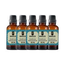 Super Kit 5 Essências A Base Água Hidrossolúvel 30ml Difusor Super Kit 5 Essências A Base Água Hidrossolúvel 30ml Difusor