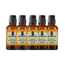 Super Kit 5 Essências A Base Água Hidrossolúvel 30ml Difusor Super Kit 5 Essências A Base Água Hidrossolúvel 30ml Difusor