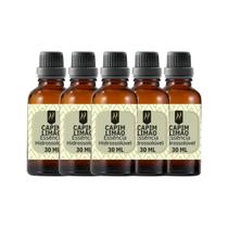 Super Kit 5 Essências A Base Água Hidrossolúvel 30ml Difusor Super Kit 5 Essências A Base Água Hidrossolúvel 30ml Difusor