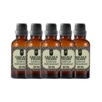 Super Kit 5 Essências A Base Água Hidrossolúvel 30ml Difusor Super Kit 5 Essências A Base Água Hidrossolúvel 30ml Difusor
