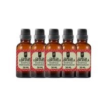 Super Kit 5 Essências A Base Água Hidrossolúvel 30ml Difusor Super Kit 5 Essências A Base Água Hidrossolúvel 30ml Difusor