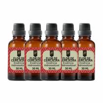 Super Kit 5 Essências A Base Água Hidrossolúvel 30ml Difusor Super Kit 5 Essências A Base Água Hidrossolúvel 30ml Difusor