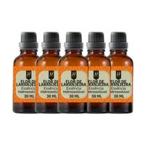 Super Kit 5 Essências A Base Água Hidrossolúvel 30ml Difusor Super Kit 5 Essências A Base Água Hidrossolúvel 30ml Difusor