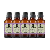 Super Kit 5 Essências A Base Água Hidrossolúvel 30ml Difusor Super Kit 5 Essências A Base Água Hidrossolúvel 30ml Difusor