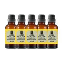 Super Kit 5 Essências A Base Água Hidrossolúvel 30ml Difusor Super Kit 5 Essências A Base Água Hidrossolúvel 30ml Difusor