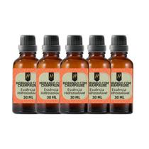 Super Kit 5 Essências A Base Água Hidrossolúvel 30ml Difusor Super Kit 5 Essências A Base Água Hidrossolúvel 30ml Difusor