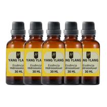 Super Kit 5 Essências A Base Água Hidrossolúvel 30ml Difusor