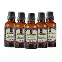 Super Kit 5 Essências A Base Água Hidrossolúvel 30Ml Difusor