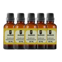 Super Kit 5 Essências A Base Água Hidrossolúvel 30Ml Difusor