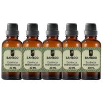 Super Kit 5 Essências A Base Água Hidrossolúvel 30Ml Difusor