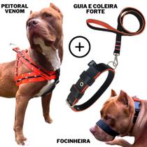 Super Kit Coleira Peitoral Guia Pitbull Com Focinheira