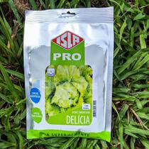 Super Semente Alface Americana Delícia Isla 42g Kit 2 un