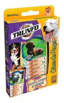 Super Trunfo Cães De Raça 2 Grow Jogo De Cartas Presente