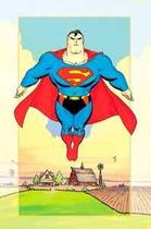 Superman: As Quatro Estações (DC de Bolso)