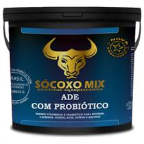 Suplementação Bovinos Bezerros Engordar Boi Vacas Touro 01kg Suplementação Bovinos Bezerros Engordar Boi Vacas Touro 01kg