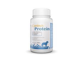 Suplemento Alimentar Avert Caninus Protein