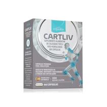 Suplemento Alimentar Colágeno Cartliv Articulação Equaliv Suplemento Alimentar Colágeno Cartliv Articulação Equaliv