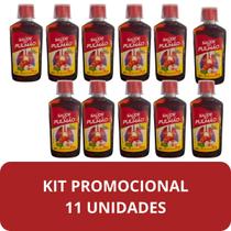 Suplemento Alimentar Nectamel S do Pulmão Frasco 300ml Kit 11 Unidades Suplemento Alimentar Nectamel S do Pulmão Frasco 300ml Kit 11 Unidades