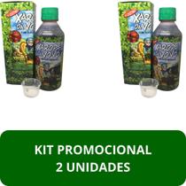 Suplemento Alimentar Xarope da Vovó Original Frasco 250ml Kit Promocional 2 Unidades - GENERIC