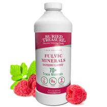 Suplemento Buried Treasure Fulvic Mineral Complex 946 ml