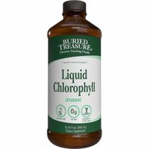 Suplemento Buried Treasure Liquid Chlorophyll 100mg 473mL