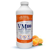 Suplemento Buried Treasure VM100 com sabor de laranja completo de 960 ml