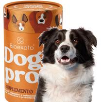 Suplemento Cachorro Vitamínico Probiótico Border Collie 200g - Bio Exato Suplemento Cachorro Vitamínico Probiótico Border Collie 200g - Bio Exato