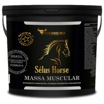 Suplemento Cavalo Engordar Selus Horse Massa Muscular 05kg Suplemento Cavalo Engordar Selus Horse Massa Muscular 05kg