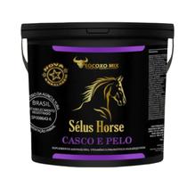 Suplemento Cavalos Equinos Potros Sélus Horse Casco 2,5kg Suplemento Cavalos Equinos Potros Sélus Horse Casco 2,5kg