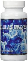 Suplemento Celulas Madres Stem Cell Enhancer Suplemento Celulas Madres Stem Cell Enhancer