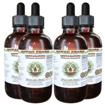 Suplemento de Ashwagandha Hawaii Pharm - 120ml - Sem Álcool