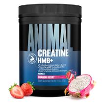 Suplemento de Creatina Animal HMB em pó Sabor Dragon Berry