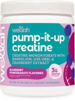 Suplemento de creatina Wellah Pump-It-Up 50 porções de mirtilo Suplemento de creatina Wellah Pump-It-Up 50 porções de mirtilo