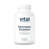 Suplemento de enzimas digestivas, nutrientes vitais, pancreático, 1000 mg