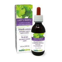 Suplemento de ervas Naturalma Lady's Mantle Tinture 120mL Suplemento de ervas Naturalma Lady's Mantle Tinture 120mL