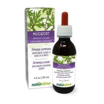 Suplemento de ervas Naturalma, tintura de artemísia, 120 ml, sem álcool Suplemento de ervas Naturalma, tintura de artemísia, 120 ml, sem álcool