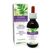 Suplemento de ervas Naturalma, tintura de raiz de valeriana, 120 ml