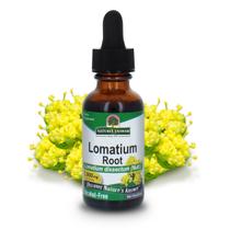 Suplemento de ervas Nature's Answer Lomatium Root Extract Suplemento de ervas Nature's Answer Lomatium Root Extract