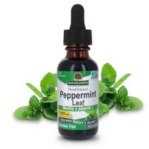 Suplemento de ervas Nature's Answer Peppermint Leaf 30ml Suplemento de ervas Nature's Answer Peppermint Leaf 30ml